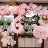 Cat Birthday Decorations, Cat Balloons, Pink 6 Balloon Number, Cat Themed Birthday Party Decorations, 6th Birthday Decorations For Girls