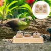 Mipcase Desktop Toys Bird Training Toys Parrot Intelligence Toy Wooden Block Puzzle Toys Parrot Biting Toys Educational Toys Wooden Activity Play Gym Accessories Bird Cage Accessories