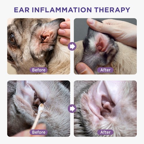 HICC PET Dog Ear Cleaner - Dog Ear Inflammation Therapy with 0.012% Hypochlorous Acid for Itch Relief, Soothe Ear Inflammation, Removes Wax, Odor, with 30 Cotton Swabs, 4 Fl oz