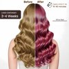 Fedulili Hair Dye Shampoo 3-in-1 Champu Para Canas Mujer, Instant Wine Red Herbal Burgundy Hair Color Treated Shampoo, Long Lasting Easy to Use, for Women Men Christmas Gift, 500ml
