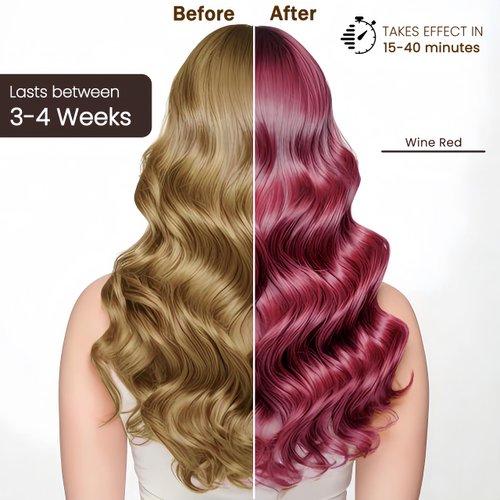 Fedulili Hair Dye Shampoo 3-in-1 Champu Para Canas Mujer, Instant Wine Red Herbal Burgundy Hair Color Treated Shampoo, Long Lasting Easy to Use, for Women Men Christmas Gift, 500ml