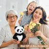 SuzziPals Warmable Panda Stuffed Animals, Microwave Heating Pads for Cramps, Anxiety & Stress Relief, Cuddly Panda Plushies with Lavender Scent, Heatable & Coolable Stuffed Panda Bear, Panda Gifts