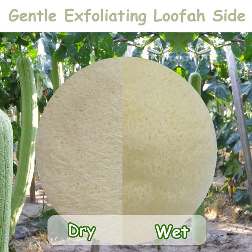 Bleu Bath (15 Pack) Mini-Sized Exfoliating Complexion Pure Loofah Face Pad Renewable Shower Scrubber Sponge Smooth Disc Pad Scrubber Makeup Cleanser Pad