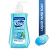 Dial 05400 7.5 Oz Spring Water Anti-Bacterial Foaming Hand Soap 2-Pack
