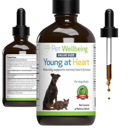 Pet Wellbeing Young at Heart for Dogs & Cats - Vet-Formulated - Supports Cardiovascular (Heart & Circulatory) Health - Natural Herbal Supplement 4 oz (118 ml)