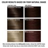 AGE beautiful Permanent Hair Color Dye Liqui Creme | 100% Gray Coverage | Anti-Aging Haircolor | Biotin for Thicker, Fuller Hair | Professional Salon Coloring | 4R Dark Red Brown