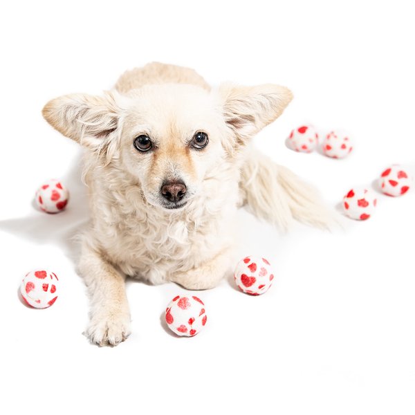 Midlee Valentine's Hearts Dog Tennis Balls- Mini- Fetch Gift Small