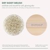 EcoTools Dry Body Brush, for Post Shower & Bath Skincare Routine, Removes Dirt & Promotes Blood Circulation, Helps Reduce Appearance of Cellulite, Eco-Friendly, Vegan & Cruelty-Free, 1 Count