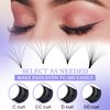 Wendy Lashes Easy Fan Lash Extensions D Curl Eyelash Extension Volume Lash Extension Rapid Self Fanning Lashes 0.05 thickness Eyelash Extensions Mega Fans 14-20mm Lashes Extensions(0.05-D, 14-20mm)