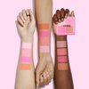 FelinWel Blush for Cheeks Matte Powder Blush Palette Long-lasting 4-color for Healthy Glow