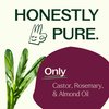 Plant Therapy Rosemary & Castor Oil - 4 oz Hair Treatment for Growth, Shine, Softness, Healthy Scalp & Hair Mask