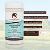 Coat Defense Daily Preventative Powder for Horses - Safe & Effective Equine Sweet Itch, Skin Funk, Scratches, & Rain Rot Treatment - Dry Shampoo for Horses, 8 oz Formula with All Natural Ingredients