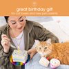 Pearhead Birthday Cake Cat Toy Set, Stuffed Birthday Cake and Cupcake Cat Toys with Catnip and Squeakers, Interactive Fun Kitten Toys, Perfect Pet Owner Birthday Gift, Ideal for Cat Lovers, Set of 2