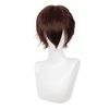 Swiking Mens Short Brown Wigs Women Fluffy Curly Hair Anime Cosplay Party Daily Costume Pixie Women Wig Unisex Full Wig(Brown)