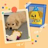 ALITTDRE Micro Mini Building Blocks Dog Pets Cute Animal Model Set Building Pet Toys Bricks Gifts for Kid and Adult (Golden Retriever)