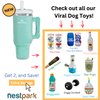 Nestpark Tumbler Cup Funny Dog Toy - Parody Plush Squeaky Crinkle Dog Toy (Mint Green)