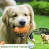KOL Dog Plush Toys Dog Chew Toys Pet Squeaky Toys with Crinkle Paper, Interactive, Chewing and Durable Toys for Puppy Dogs and Medium Dogs. (Ball Orange)
