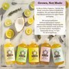 Herbal Body Wash, Lavender by Moon Valley, All Natural Ingredients, No Parabens, Vegan, Moisturizing Essential Oils, Two Pack