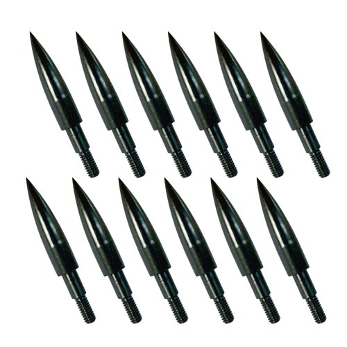 12pcs Archery Arrow Tips 100/125/150/200 Grain Field Tips 5/16 Inch Screw in Bullet Points , Archery Target Crossbow Practice Tip for Arrow Recurve Bow Compound Bow, Hunting Bow Arrow Target Practice