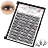 Dedila 8-20mm Available 200Pcs Handmade Natural long 20Roots Black Soft Individual False Eyelashes Fluffy Cross Makeup Cluster Eyelashes Thickness 0.07mm D Curl Eye Lashes Extensions (12mm)