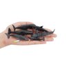 Fantarea 6 PCS Realistic Mini Sea Marine Animal Figures Ocean Creatures Action Models Figurine Whale Ornament Education Cognitive Toy for Boys Girls Kid