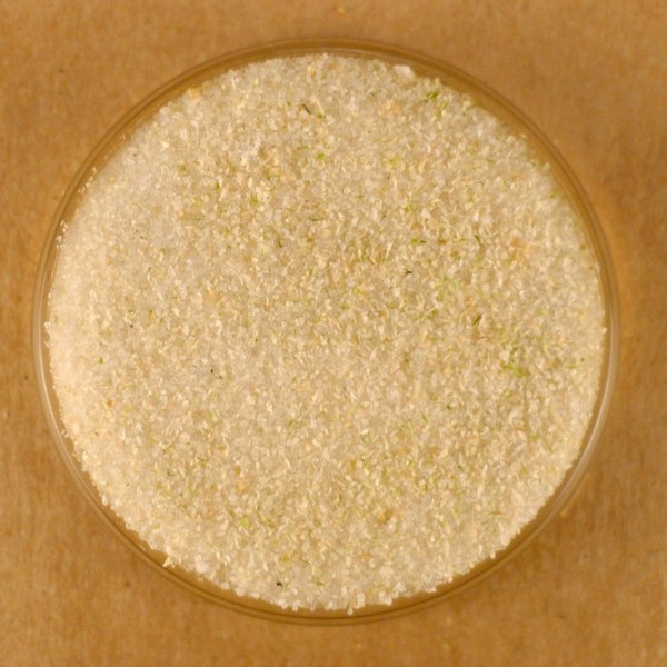 Onion Salt - 10 lbs Bulk