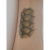 Generic 3 sheets Realistic Snake Scales Temporary Tattoos Halloween Cosplay Costume Body Art Tattoo for Men and Women, Medium, Green