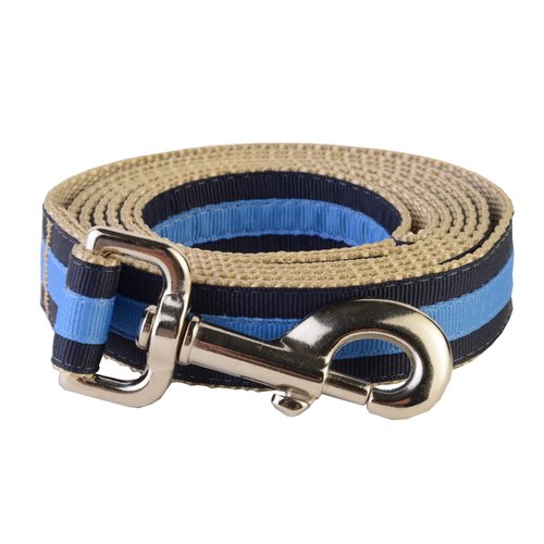 Paw Paws USA Prep School Wrigley Dog Leash, X-Small, Multicolored