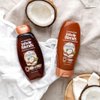 Garnier Whole Blends Smoothing Shampoo with Coconut Oil & Cocoa Butter Extracts, 12.5 Fl Oz (Packaging May Vary), 2 Count