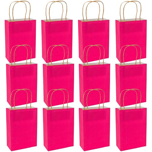 Medium Hot Pink Craft Bags/Gift Wrap/Party Supplies/Goody Bags/Crafts, One Dozen