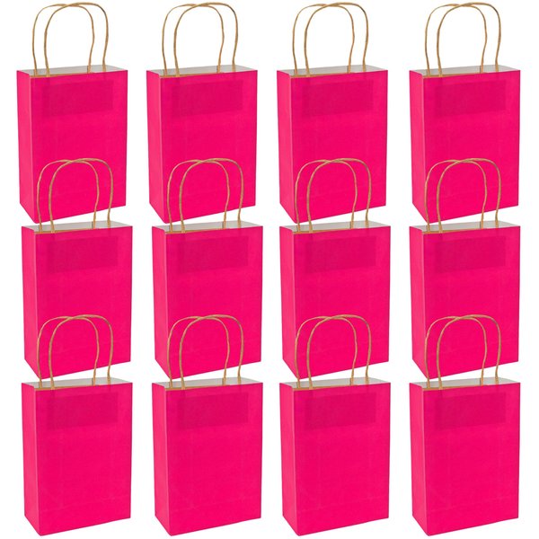 Medium Hot Pink Craft Bags/Gift Wrap/Party Supplies/Goody Bags/Crafts, One Dozen