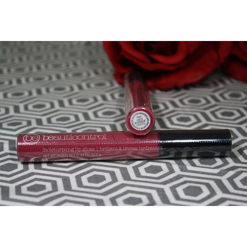 BeautiControl Moisturizing Lip Gloss - POSH