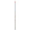 Caran d'Ache Pablo Colored Pencil, Light Grey (666.003)