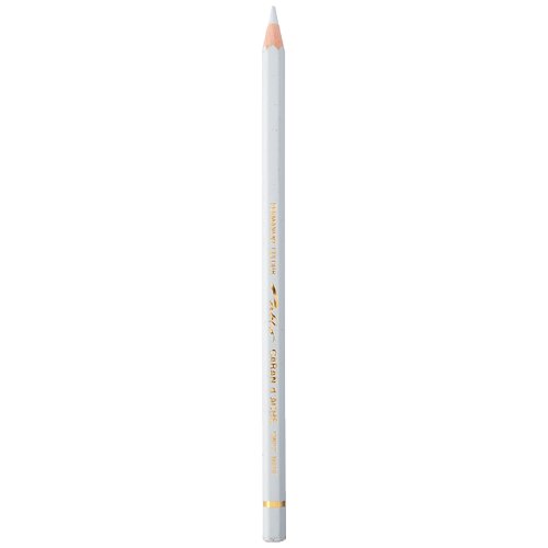 Caran d'Ache Pablo Colored Pencil, Light Grey (666.003)