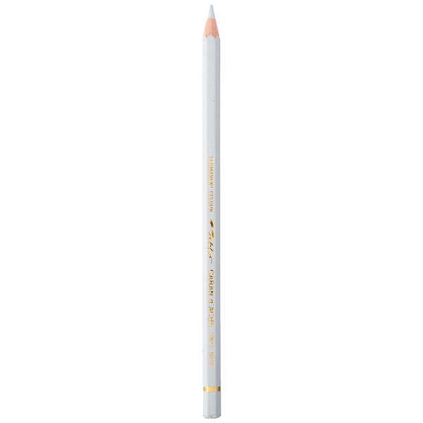 Caran d'Ache Pablo Colored Pencil, Light Grey (666.003)