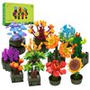 JMBricklayer Flowers Succulents Building Sets for Adults 10001, 12 Pack Tiny Plants Botanical Collection Display for Room Decor, Bonsai Flowers Building Blocks Gifts for Women Girls, Cute Succulents