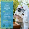 ZOXY Manuka Honey Drops, Fast Relief for Dry Eyes, Long-Lasting Hydration, Relieves Moderate to Severe Dry Eye Symptoms, 0.68 FL OZ