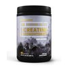BioEmblem Creatine Monohydrate Powder - Unflavored Micronized Creatine Easily Mixes - Muscle Strength, Workout Recovery, Exercise Performance - 300g Creatine Supplement - Non-GMO, Vegan- 60 Servings