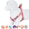 Blueberry Pet 9 Patterns Step-in Spring Scent Inspired Rose and Polka Dot Print Brink Pink Dog Harness, Chest Girth 16.5" - 21.5", Small, Adjustable Harnesses for Dogs