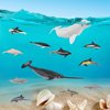 Ocean Sea Marine Animal Figure Toys Playsets 12 PCS Narwhal White Whale Mini Dolphin Model Toy Desktop Decoration Collection Party Favors Toys for Boys Girls Kids