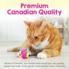 Cat Crinkle Balls 2.5 Inch (1-Pack) - Crinkle Cat Toys for Indoor Cats - Multi-Color Crinkle Cat Toy - Cat Toys Crinkle Balls to Keep Fit and Active - Canadian-Made Crinkle Balls for Cats