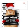 Purrpetrator Santa Cats Holiday Card Assortment Pack / 24 Christmas Cats Greeting Cards and Envelopes / 3 Bad Santa Kitten Designs With Message Inside