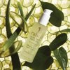 Rahua Aloe Vera Hair Gel, 4 Fl Oz, Flexible Smooth Soft Hold Styling Gel with Cucumber & Chlorophyll, Shine Finish, Hair Care for All Hair Types, Nourishing Natural, Plant-Based Derived Ingredients