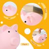 H&W Mini Piggy Bank, Plastic Coin Bank, Unbreakable Money Banks, Cute Piggy Banks for Kids, First Money Box, Best Birthday Gifts Home Decoration（Pink）