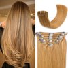 ManeMajesty 14 Inch Premium Remy Human Hair Clip in Hair Extensions Caramel - 100% Natural Human Hair 10pcs 80g - Double Weft Invisible Straight Clip in Hair Extensions for Women