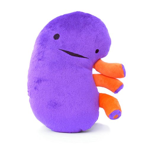 I Heart Guts Kidney Plush - When Urine Love! - 9” Educational Organ Stuffed Animals- Kidney Transplant Gifts - Post Surgery Gift for Family, Doctors & Nurses, Gifts for Dialysis Patient
