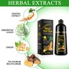 ALIVER Hair Dye Shampoo (Black) - 3-in-1 Natural Herbal Essence: Coloring, Nourishing, and Hair Growth Promoter - 500ml, Hypoallergenic and Harmless for Scalp Care
