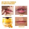 Honey Lip Balm Pot, Propolis Lip Mask, Strawberry Hydrating Propolis Lip Sleeping Mask, Prevent Dry&Cracked, Lip Repair Nourishes the Lip Skin (honey&straberry&cherry&apple)