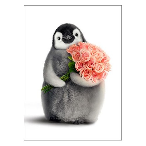 Penguin With Flower Bouquet Funny Valentine's Day Card