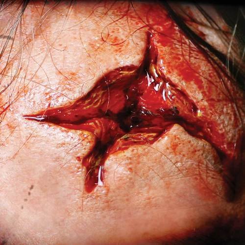 Tinsley Transfers POINT BLANK/Gun Shot - Film Quality Realistic 3D Prosthetic Makeup FX Transfer. Apply With Water.